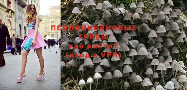 дурь Алексин