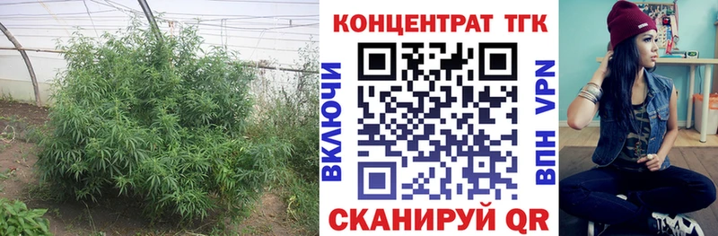 Дистиллят ТГК концентрат  где купить наркотик  Яровое 