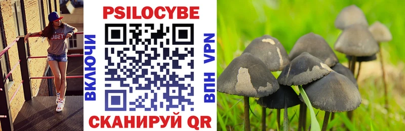 купить наркотики цена  Яровое  Галлюциногенные грибы Cubensis 